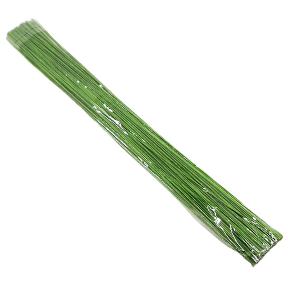 DMLAYHP Florist Wire 100Pcs 40cm Floral Wire Stems Paper Covered Iron Wire DIY Crafts Flower Making Accessory