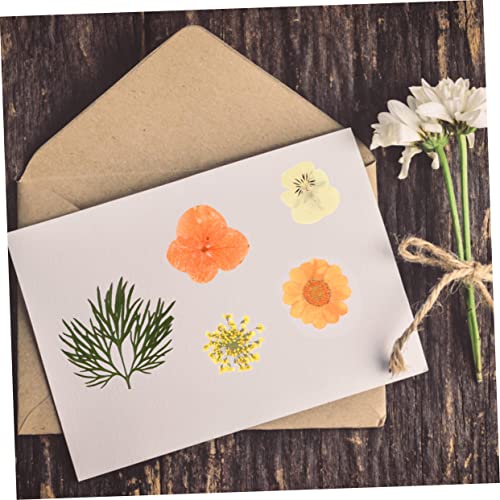 Flores secas elegantes para decoración y manualidades miniatura 7