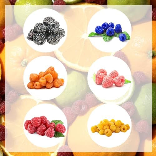 semillas de frutas frambuesas, plantas de exterior Semillas de fr...