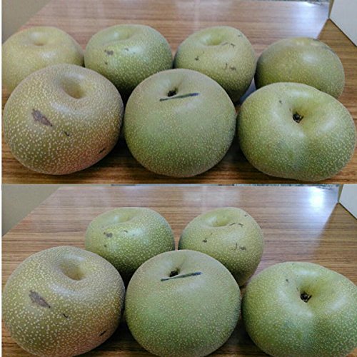 熊本県産 豊水梨 約5kg 甘い　高級梨 Amazon.co.jp: 梨 訳あり 約5kg（約5～24玉）（豊水・秋月・新高