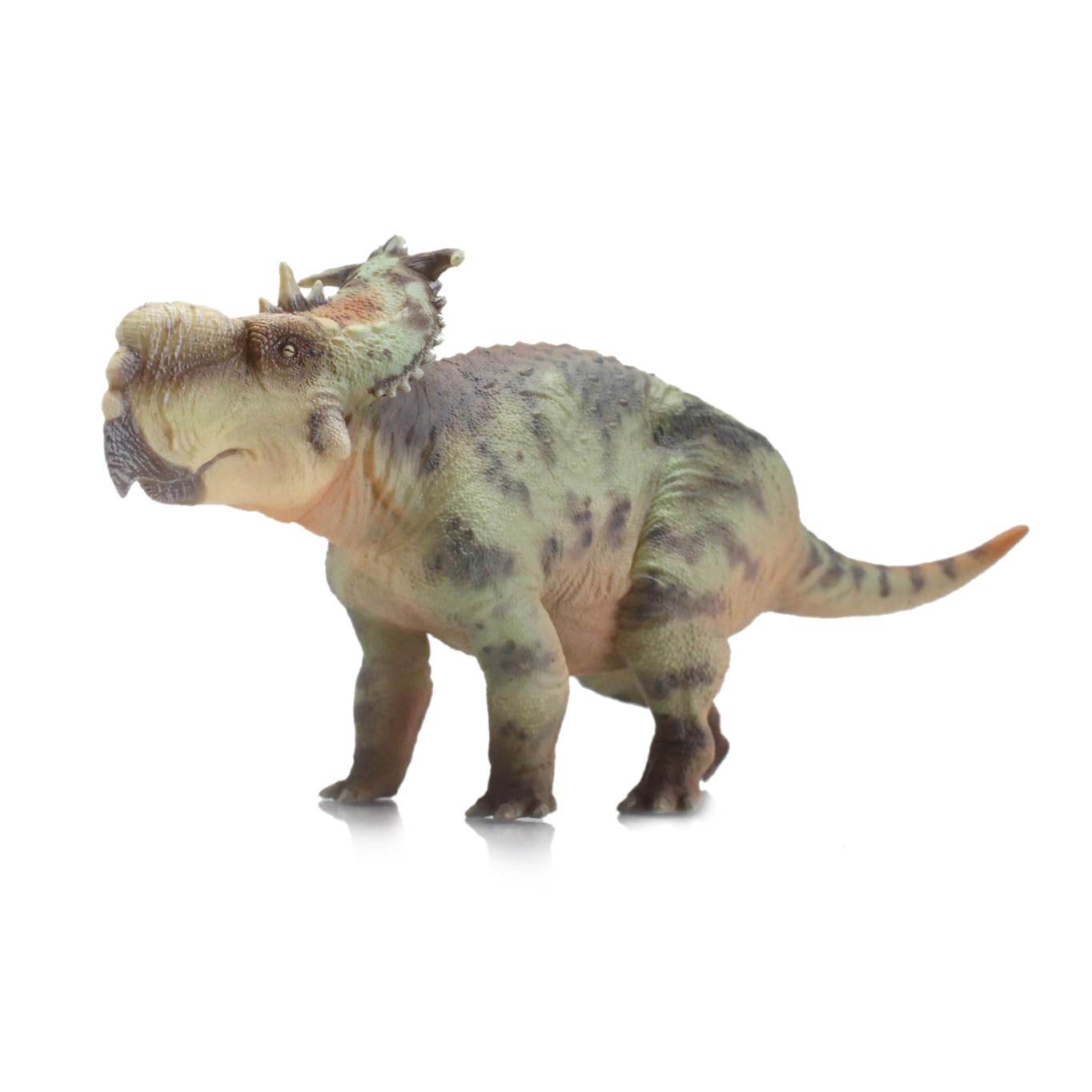AMITD Pachyrhinosaurus (GuoSheng)