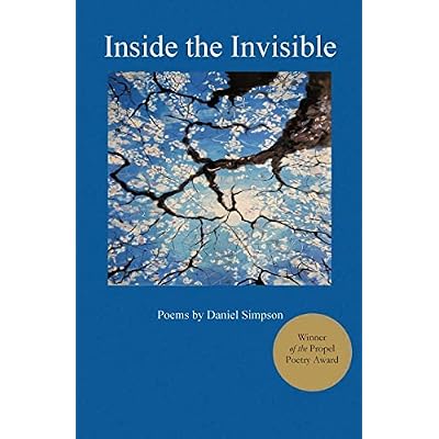 Inside the Invisible