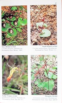 The Grampians in Flower