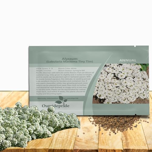 Outsidepride Tiny Tim Alyssum Seeds - 5000 Pieces Annual, Drought-Tolerant & Pollinator-Friendly Ground Cover Seeds w/Fragrant Honey Blooms for Low-Growing Xeriscaping & Outdoor Planting