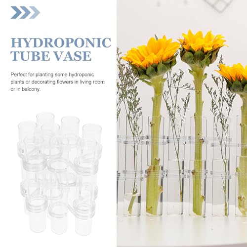 Vase tube transparent pour fleurs hydroponiques et maison
