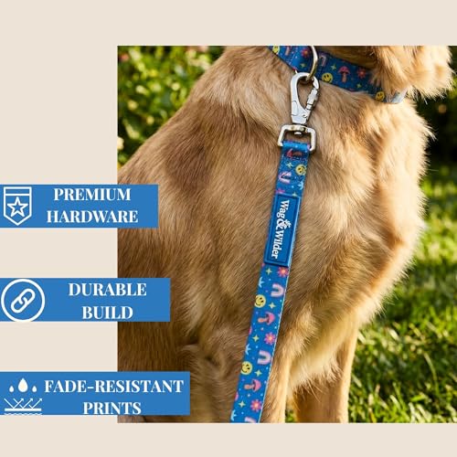 Image of Wag and Wilder Heavy Duty 5 FT Dog Leash for Small Dogs - Neoprene Padded Handle & Strong Metal Hook (Groovy Trails Blue)