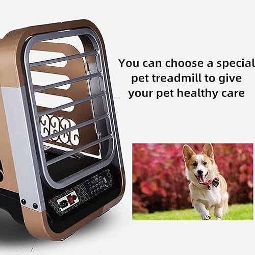 Close-up of Dog Pet Treadmill Control Panel and Belt