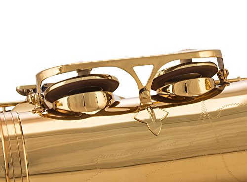 glory gold laquer b flat tenor saxophone with case10pc reedsmouth piecescrew drivernipper a pair of gloves soft cleaning cloth