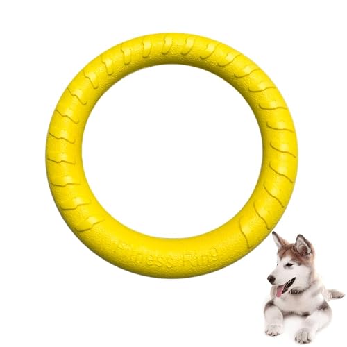 JINRETUTE Anillo de mosca para perro, anillo de fitness flotante para perro