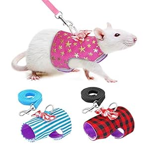 Small Pet Outdoor Walking Harness Vest and Leash Set with Cute Bowknot Decor Chest Strap Harness for Rat Ferret Squirrel Hamster Clothes Accessory, Blue Stripe