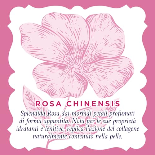 Roberts A/Di Rose Cre C/Occhi 15ML - 5