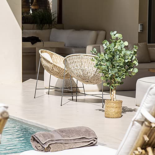 Maia Shop Eucalyptus, Artificial Tree With Natural Trunks, Made With The Best Materials, Ideal For Home Decoration, Artificial Plant 3.5 Feet Tall - 41 Inches #TOP2