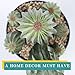 Huisezing Artificial Cactus Fake Cacti 24