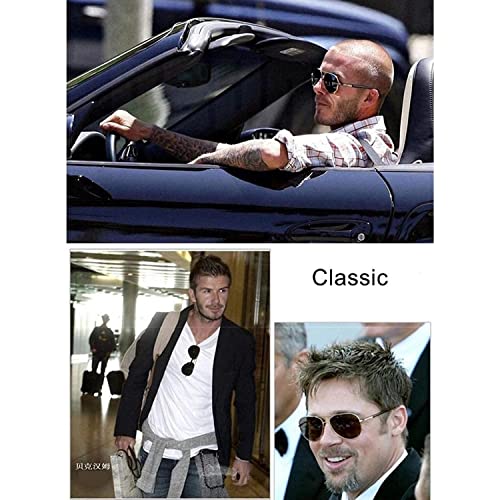 Image of Dervin Unisex Adult Polarized Aviator Sunglasses