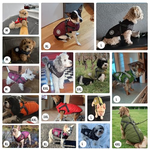 Aiboria Hundejacken für den Winter Winddicht Wasserdicht 2 in 1 Outfit Kaltwettermantel Hundewestengeschirr Welpen Winter Warme Jacke Kleines Blau XXL