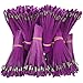 Trail Chasers Purple Survey Whiskers 6 Inch, 500 Count – Ground Marking Flags for Surveying, Construction, Landscaping, Property Line & Trail Marking (Flags Only, No Nails)