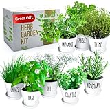 Deluxe Indoor & Outdoor Herb Garden Kit – 8 or The Most Popular Culinary Herbs with Pots & Soil for Windowsill or Patio Growing