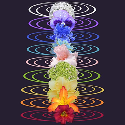 Sound Bath, Deap Sleap & Solfeggio Sound Bath