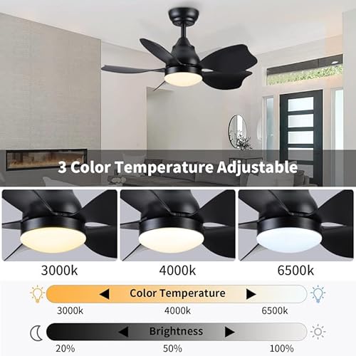Newday Ceiling Fans With Lights And Remote Control, 30 Inch Small Black Ceiling Fan, Quiet Reversible Motor, Modern Ceiling Fan For Bedroom, Living Room #TOP3