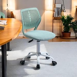 HOMYLIN 1er-Pack ergonomischer Besprechungsstuhl Kaktus