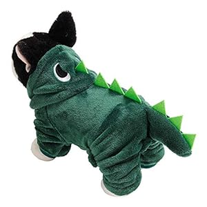 lyrlody Disfraz de dinosaurio para perro y gato, con capucha, abrigo de invierno con capucha para perros pequeños, cachorros (S)