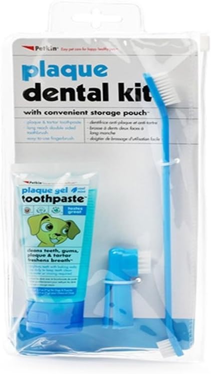 Petkin Plaque Dental Kit - Mint