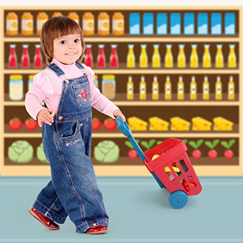 Kidewan Kids Shopping Cart Toddlers Groceries Cart Toy With Cash Register For Girls Boys Mini Shopping Play Set With Food Fruit Accessories #TOP4