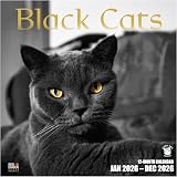 RED EMBER Select - Black Cats 2026 Wall Calendar 12 Month | 12' x 24' Open | Thick & Sturdy Paper |Giftable | Cute Kitten Cat Calendar 2026