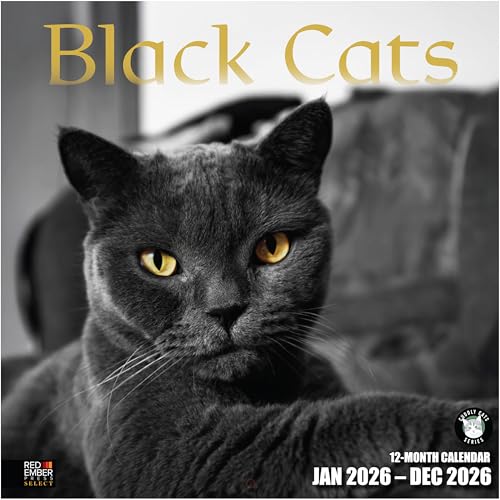 RED EMBER Select - Black Cats 2026 Wall Calendar 12 Month | 12" x 24" Open | Thick & Sturdy Paper | Holiday Gift | Cute Kitten Cat Calendar 2026