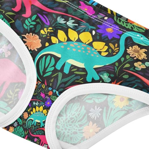 Cute Dinosaurs Toddler Girls's Underwear 2T 202c12014
