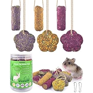 Bissap 12PCS Rabbit Chew Sticks Hanging Chew Sticks Cakes Natural Timothy Hay Carrot Strawberry Rabbit Treat for Bunny Chinchilla Guinea Pig Hamster and Other Small Animals Molar Snack Toy