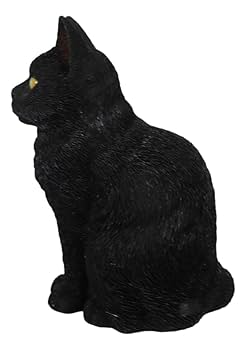 庭先の黒猫 庭先の黒猫 黑の助出勤しましたにゃ！ 今日も暑くなりそうだ