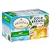 Twinings Mint Green Cold Brewed Iced Tea Bags, 20 Count (Pack of 1), Unsweetened Flavoured Green Tea, Caffeinated, 20 Teabags