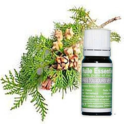 'La vie en zen' Huile essentielle de CYPRES DE PROVENCE 10 ml pure et naturelle | 100% HECT Haute qualité