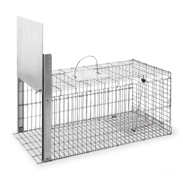 Jaula Trampa Caza Plegable GALVANIZADO, Ideal para Gatos, Zorros, MARTAS, GARDUÑAS, GINETAS 370 X 750 X 340 h