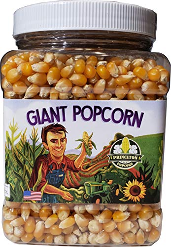 Mushroom Popcorn Kernels by Princeton Popcorn – Farm Grown, Non GMO, Gluten Free