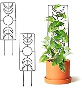 Moon Phase Plant Trellis for Indoor Houseplant, Climbing Plant 17.2" Small Garden Potted Plant Me...
