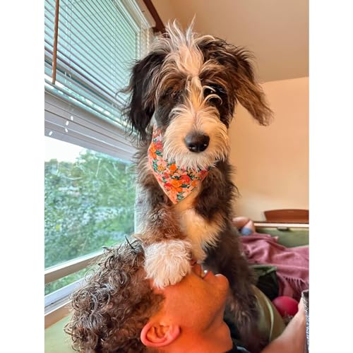 Lionheart glory Dog Bandana 1 Pack Washable Soft Cotton Flower Print Bibs Scarf, Adjustable Kerchief Square Dog Bandanas for Small Dogs Lionheart glory Dog Bandana 1 Pack Washable Soft Cotton Flower Print Bibs Scarf, Adjustable Kerchief Square Dog Bandanas for Small Dogs