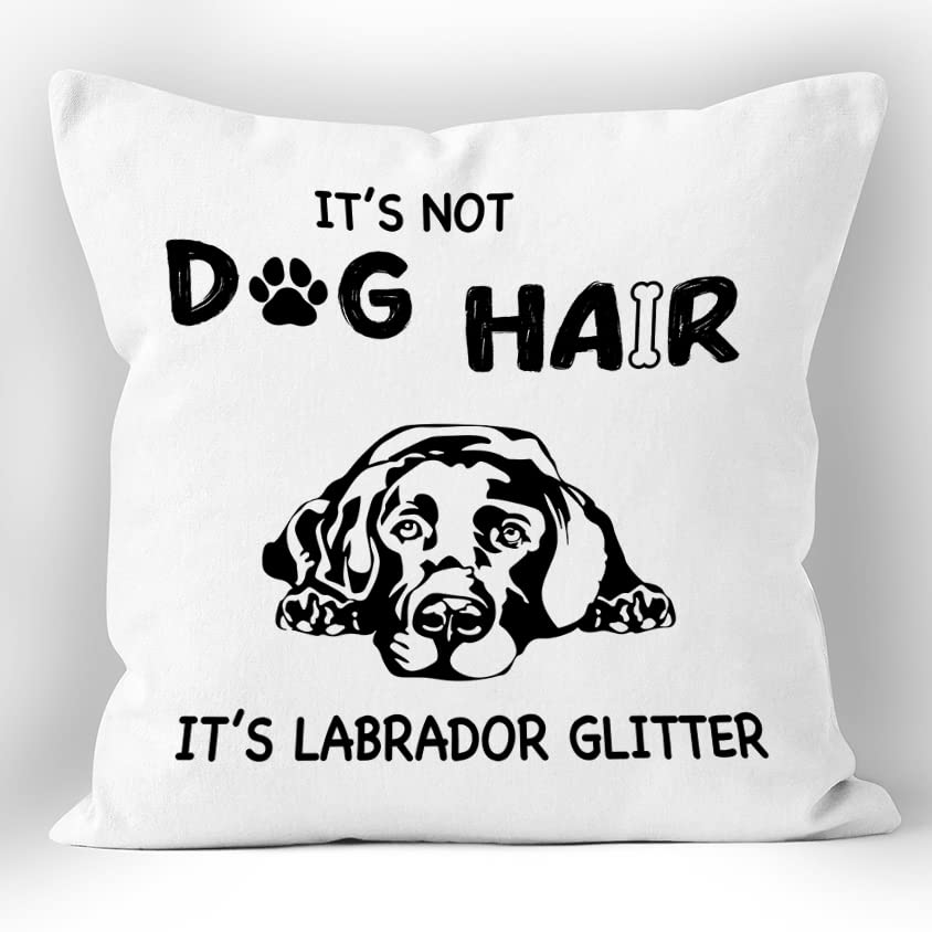 Top 10 Throws For Dog Hair of 2022 Katynel