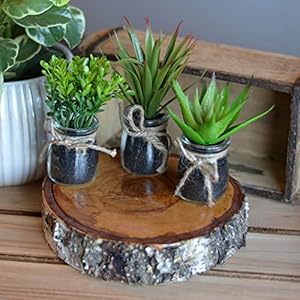 WHW Whole House Worlds 3 Piece Realistic Faux Grasses Set Mason Jar Pot Rustic Twine Bow Approx 6 34 Inches Tall 17 cm