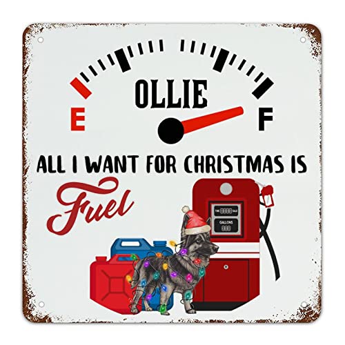 Plaque en métal rétro cadeau de Noël idéal pour passionné auto déco murale 38 cm