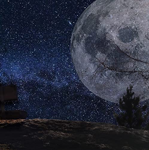 Part 4: Previous Answers to the "If an alien journalist asked you..." Question