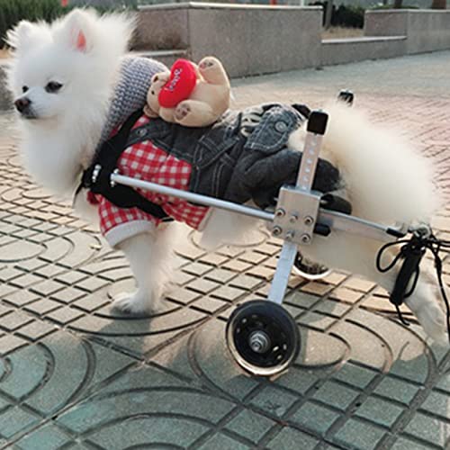 Silla de Ruedas para Perros, Rehabilitación Patas Traseras Silla de Ruedas Perros/Scooter Perros/Miembros Traseros Silla Ruedas Discapacitados/Rehabilitación de Mascotas, 1-20kg Cover