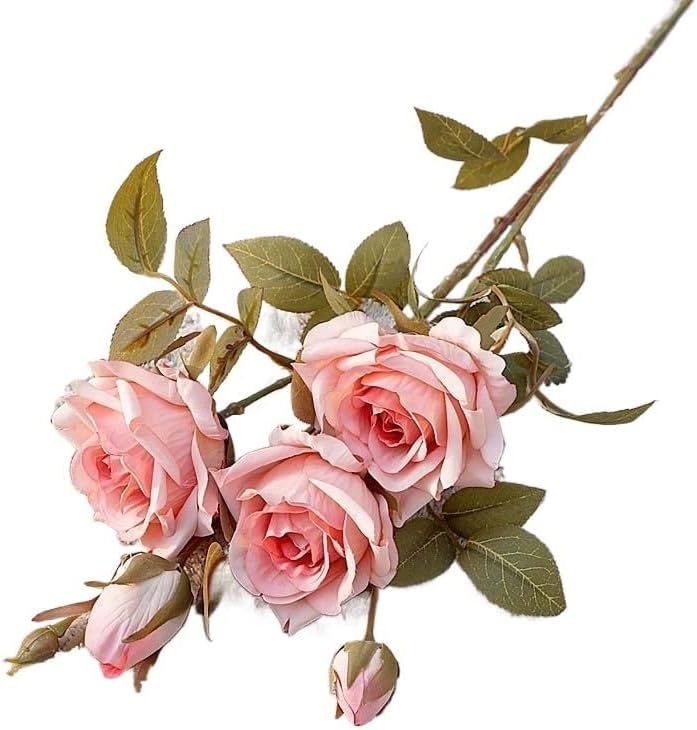 HXSCOO Flores artificiales de seda de ramas de rosas de ensueño para el día de San Valentín, boda (color  H)