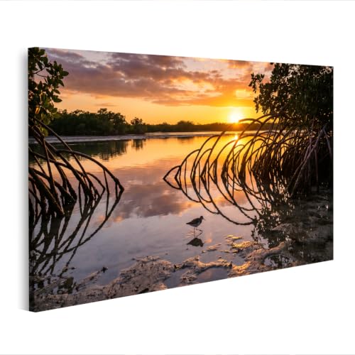 Toile coucher de soleil mangrove islandburner pour un salon chaleureux