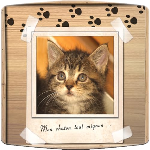 Interrupteur décoré chat fabriqué en France pour chambre et salon