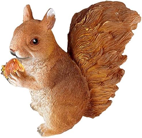 Onwomania Polyresin Eichhörnchen Figur – 6 Cm, Naturgetreue Dekofigur Für Zuhause & Garten