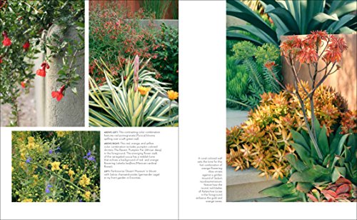 Hot Color, Dry Garden: Inspiring Designs And Vibrant Plants For The Waterwise Gardener #TOP4