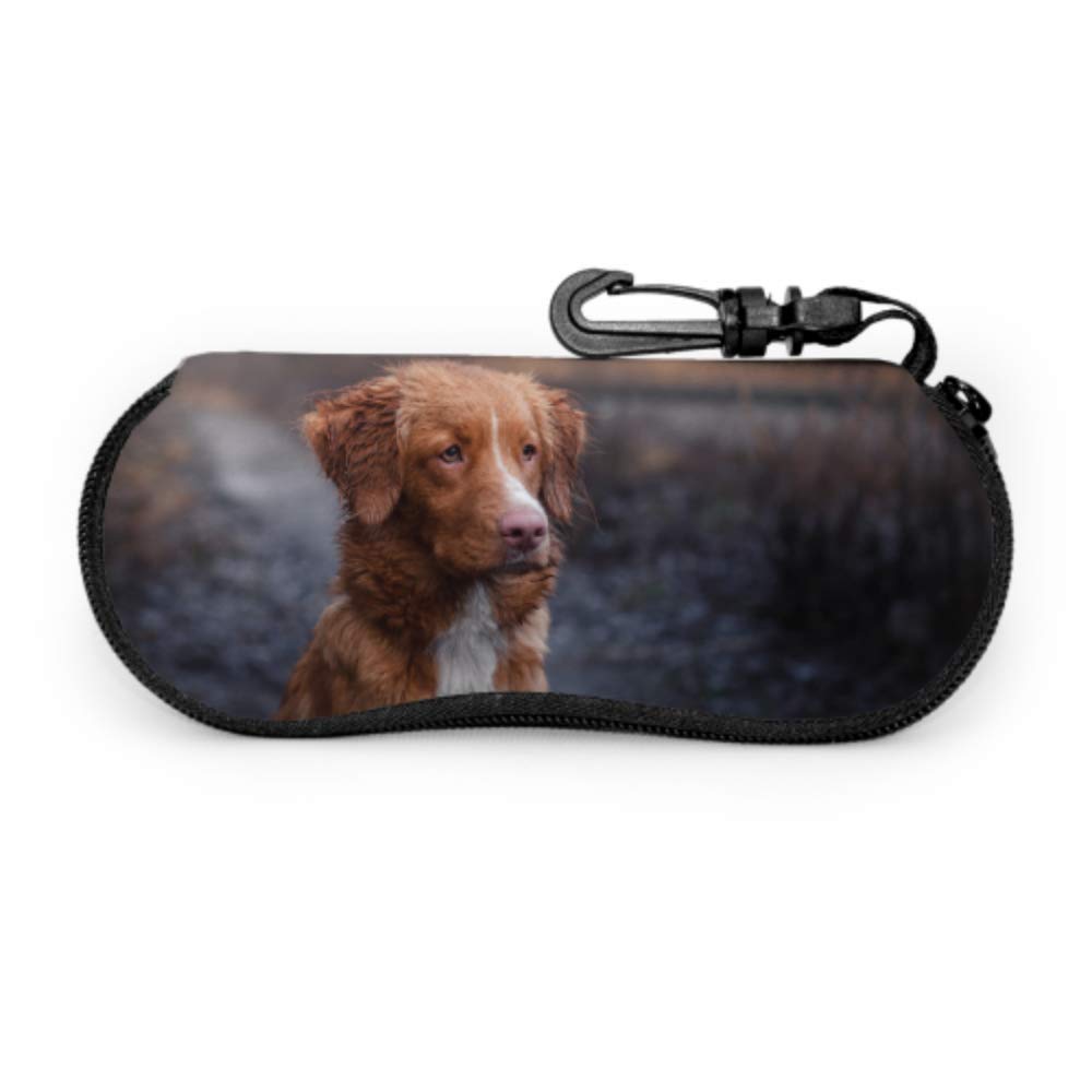Dedesty Dog Nova Scotia Duck Tolling Retriever Hiking Sunglass Case Girls Eyeglass Cases Light Portable Neoprene Zipper Soft Case Fun Glasses Case