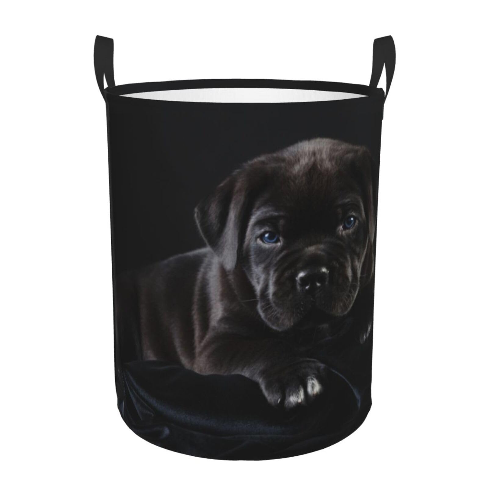 Laundry Hamper,Laundry Hamper Toy Organizer Waterproof Nursery Hamper Large for Home,Cane Corso Pets Puppy Black Cane Corso